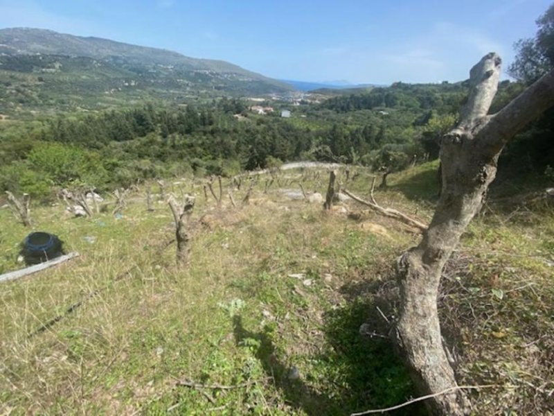 Vryses im Apokoronos Grundstück mit Meerblick in Hampatha, Vryses, Apokoronas Grundstück kaufen